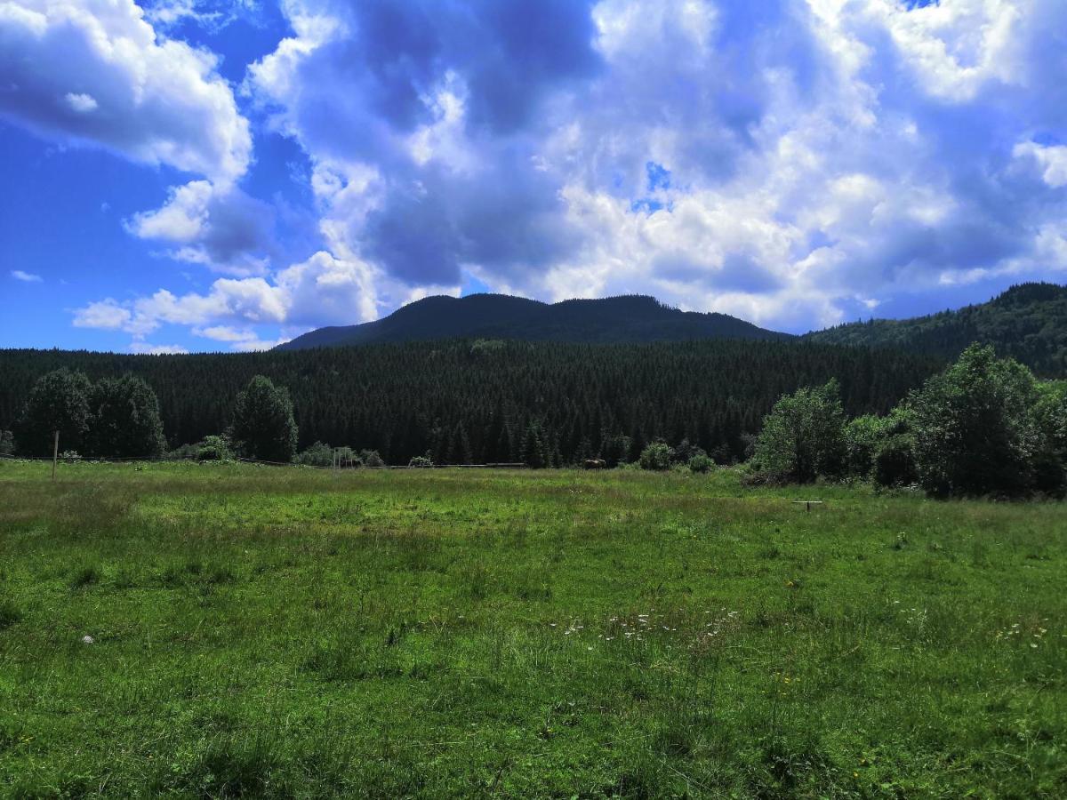 Villa Говерлянка Vorokhta Esterno foto