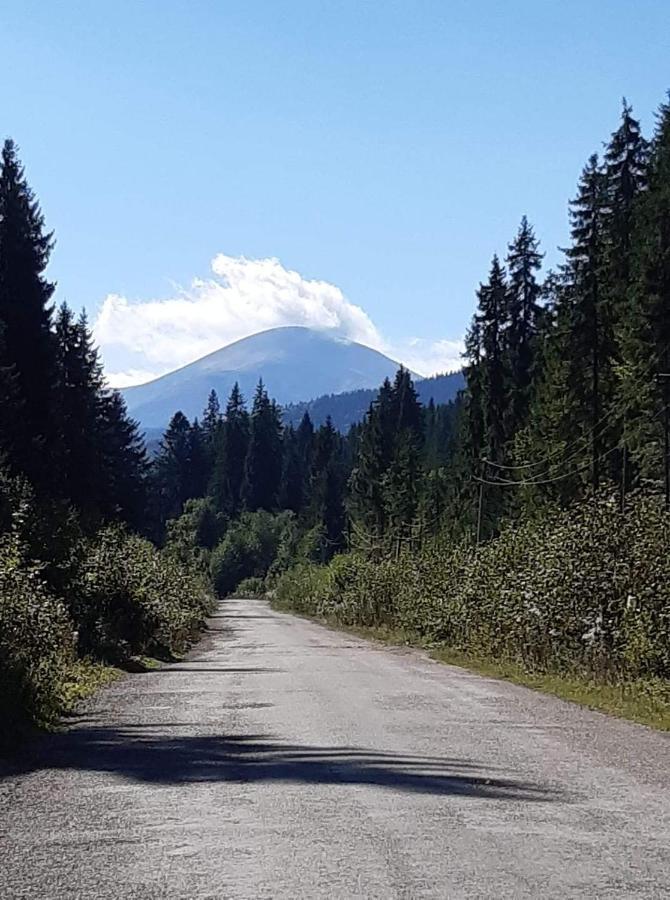 Villa Говерлянка Vorokhta Esterno foto