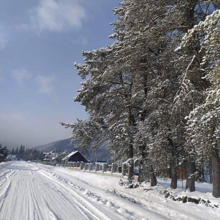 Villa Говерлянка Vorokhta Esterno foto