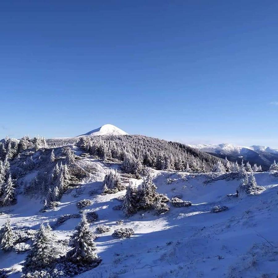 Villa Говерлянка Vorokhta Esterno foto