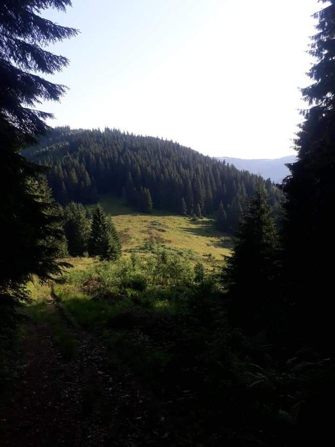 Villa Говерлянка Vorokhta Esterno foto