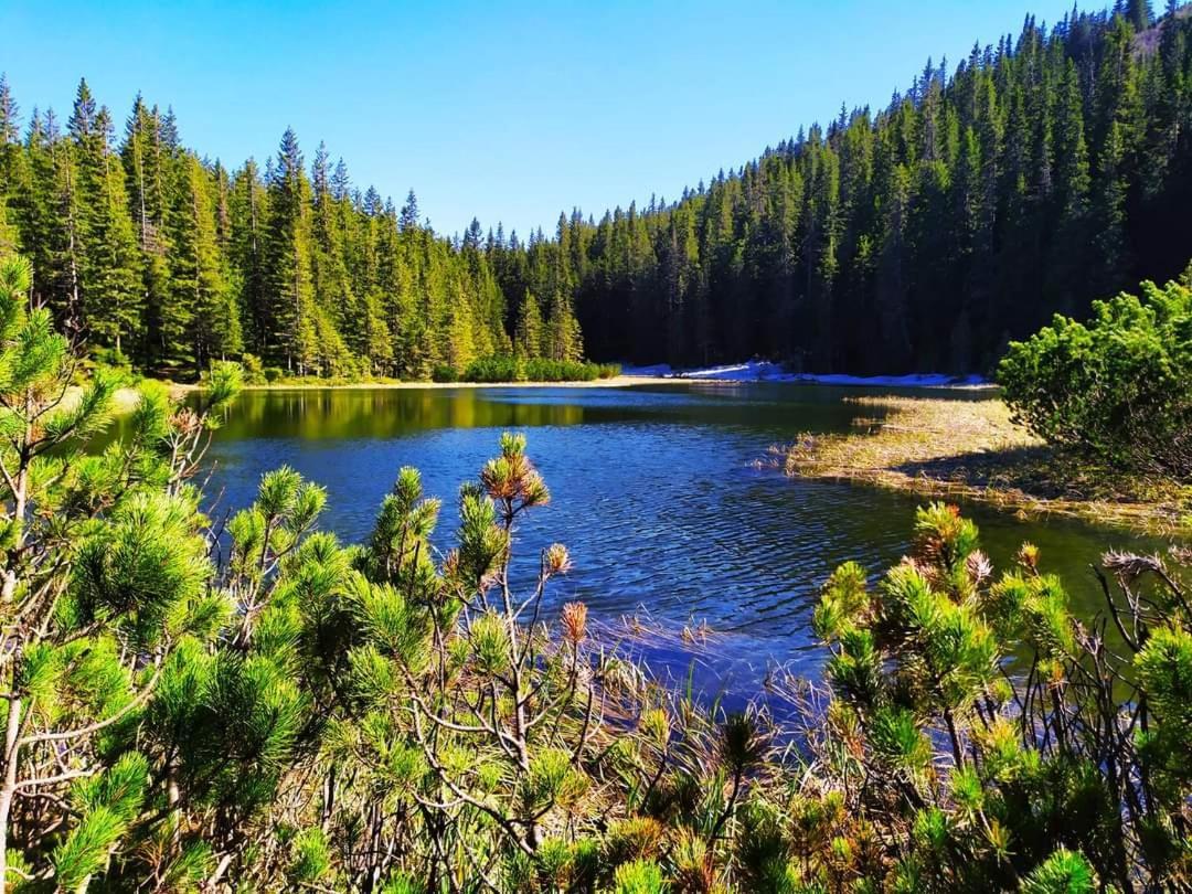 Villa Говерлянка Vorokhta Esterno foto
