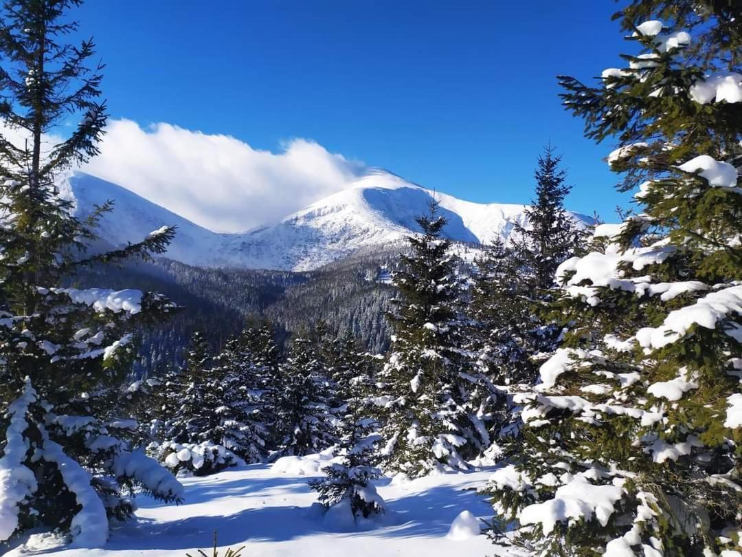 Villa Говерлянка Vorokhta Esterno foto