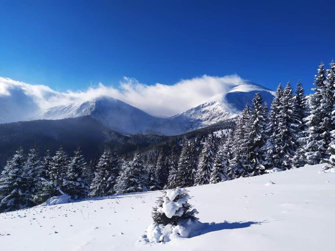 Villa Говерлянка Vorokhta Esterno foto