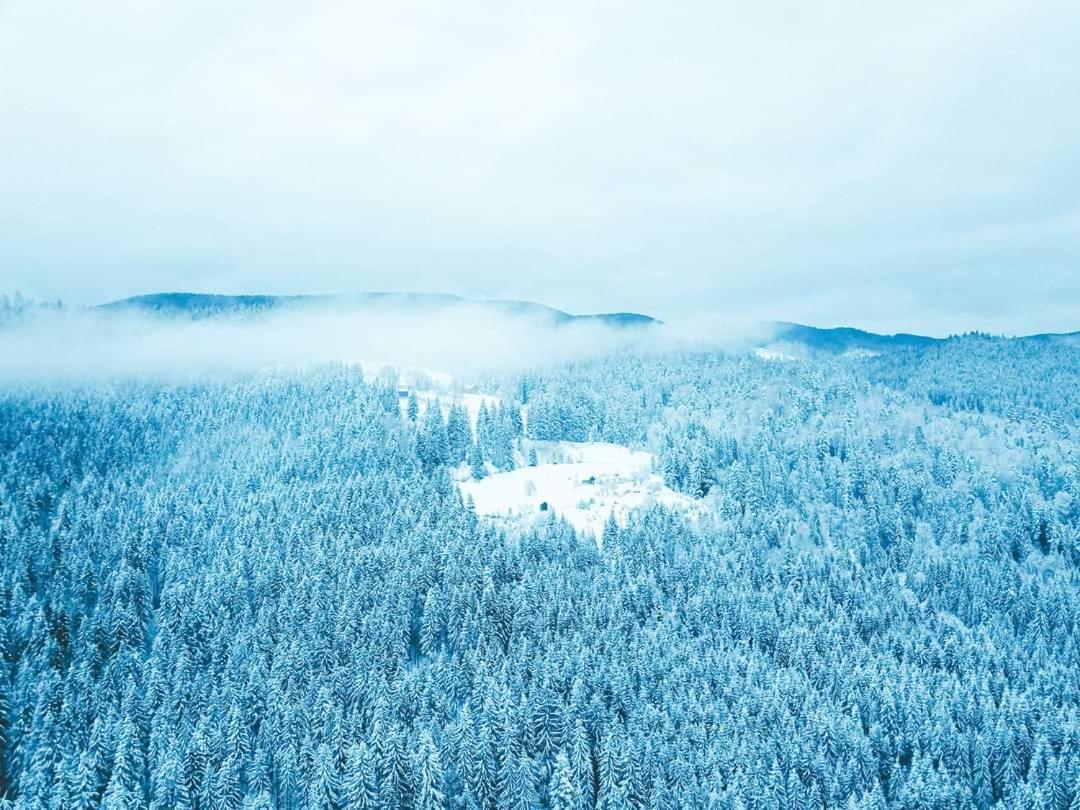 Villa Говерлянка Vorokhta Esterno foto