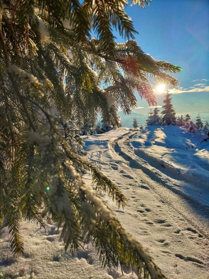 Villa Говерлянка Vorokhta Esterno foto