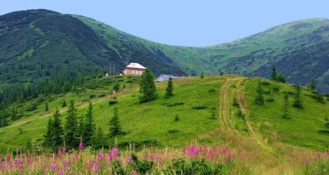 Villa Говерлянка Vorokhta Esterno foto